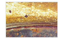 Tarnish & Tarnish Resistance