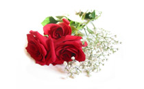 Romantic Tips