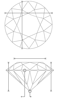 Schematic view